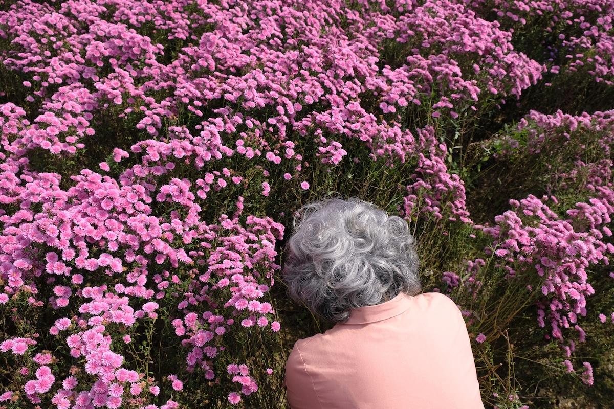 Additional Assets: Photographs by Filmmakers returns to m2 Gallery in Sydney, 23–26 October