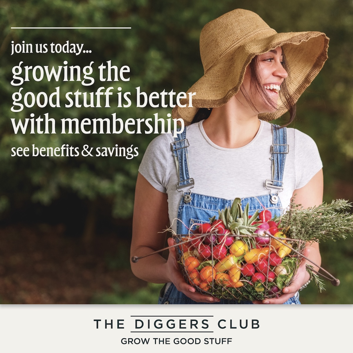 The Diggers Club unveils ‘Grow the Good Stuff’ via Destination Store + Stake The Reputation Company